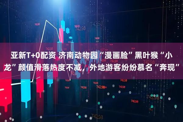 亚新T+0配资 济南动物园“漫画脸”黑叶猴“小龙”颜值滑落热度不减，外地游客纷纷慕名“奔现”