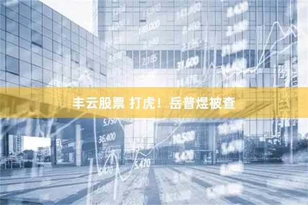 丰云股票 打虎！岳普煜被查