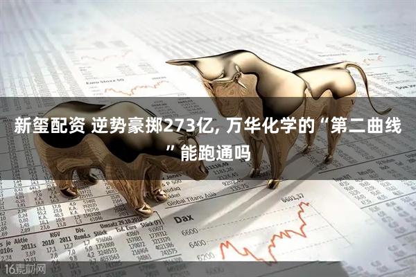 新玺配资 逆势豪掷273亿, 万华化学的“第二曲线”能跑通吗